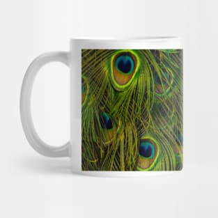 Peacock Close up Mug